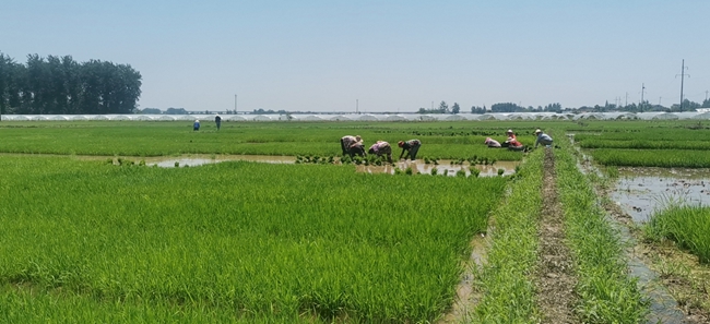 圖片(piàn)1.jpg 圖片1.jpg